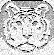 notepad_tiger.jpg